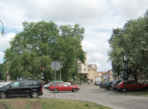 Niebawem rusza remont ul. Kościuszki - grafika