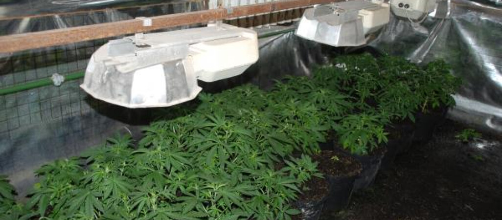 Pół miliona pod szkłem