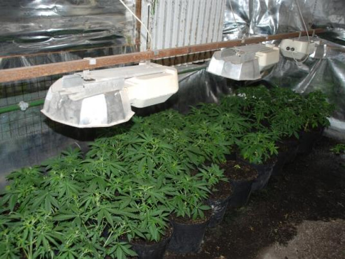 Pół miliona pod szkłem - grafika