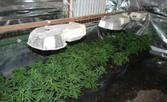 Pół miliona pod szkłem