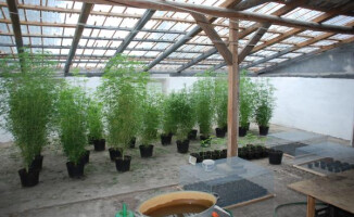 Pół miliona pod szkłem