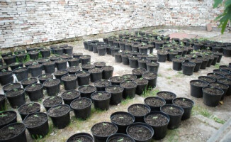 Pół miliona pod szkłem