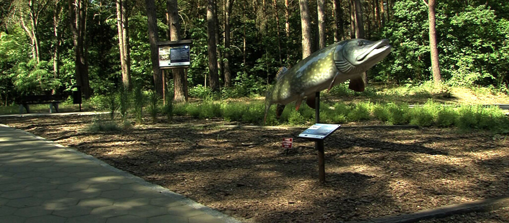 Park ryb na pozycji lidera. Głosujmy!