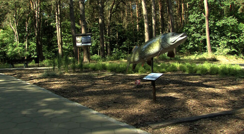 Park ryb na pozycji lidera. Głosujmy! - grafika