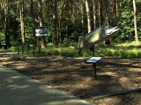 Park ryb na pozycji lidera. Głosujmy! - grafika