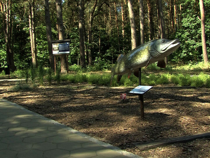 Park ryb na pozycji lidera. Głosujmy! - grafika