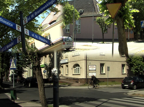 Skrzyżowanie żądne krwi - grafika