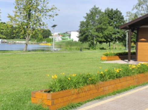 Kino na trawie i "pod szkłem" - grafika