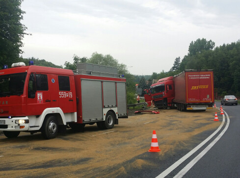 Wahadłówka na K-11 w Ujściu - grafika