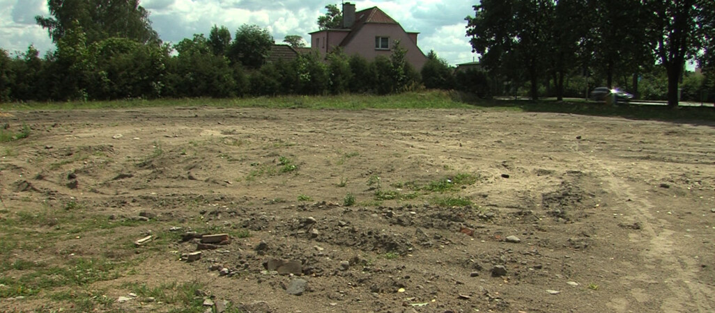 Co wybiorą pilanie?