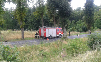Dostawczak na drzewie