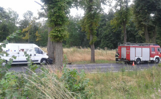 Dostawczak na drzewie
