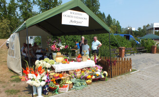 Działkowcy na Wyspie