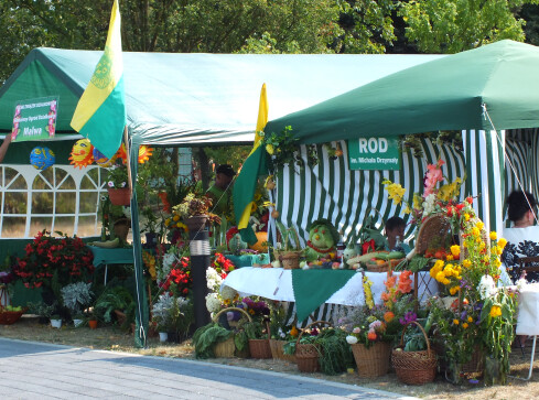 Działkowcy na Wyspie - grafika