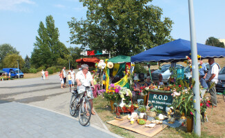 Działkowcy na Wyspie