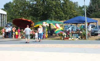Działkowcy na Wyspie