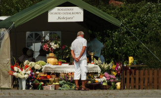 Działkowcy na Wyspie