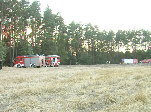 W oczekiwaniu na deszcz  - grafika