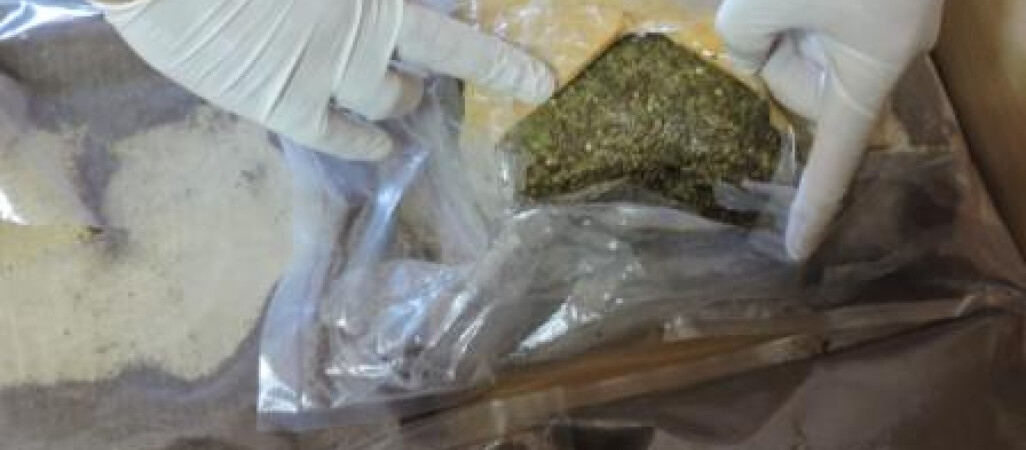 Jafa wywąchała narkotyki za 220 tys. zł