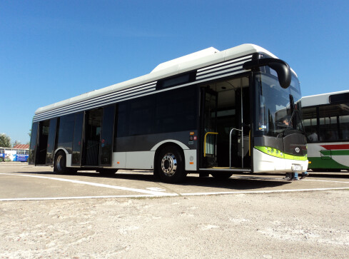Autobusem MZK za darmo? - grafika