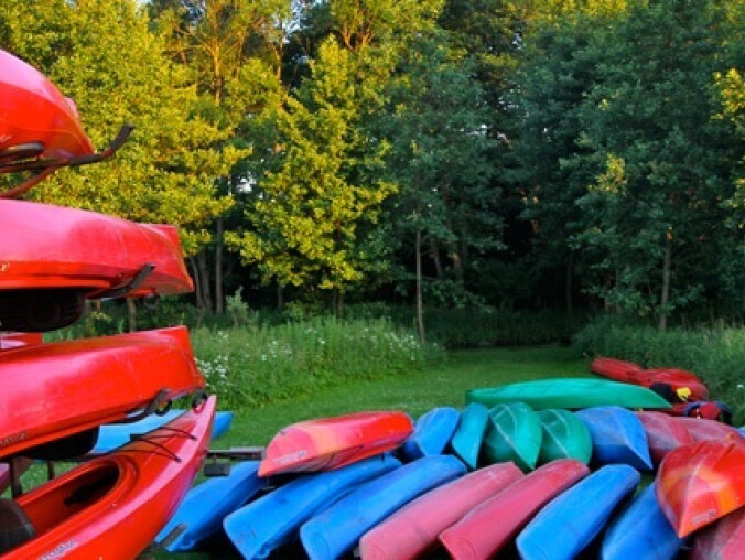 Gwda oznakowana - grafika