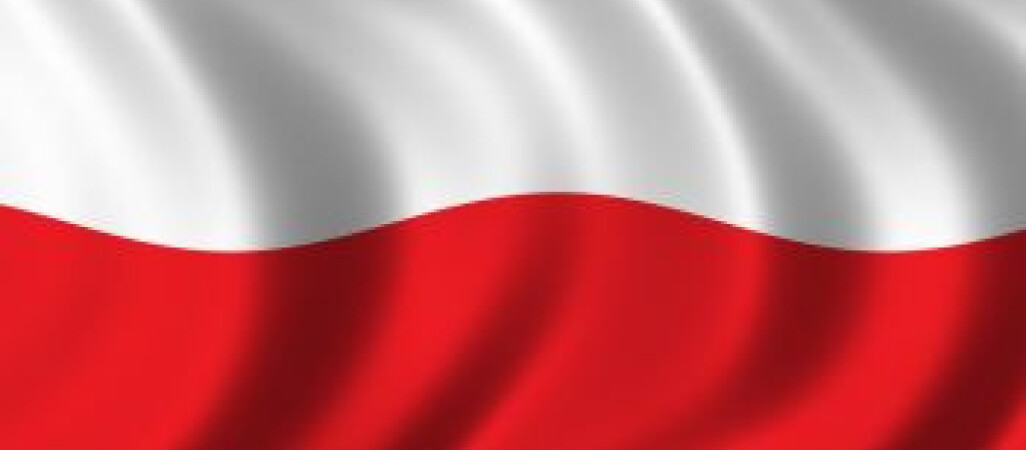 Ponieśmy flagę na rekord Guinnessa!