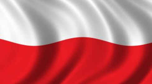 Ponieśmy flagę na rekord Guinnessa! - grafika