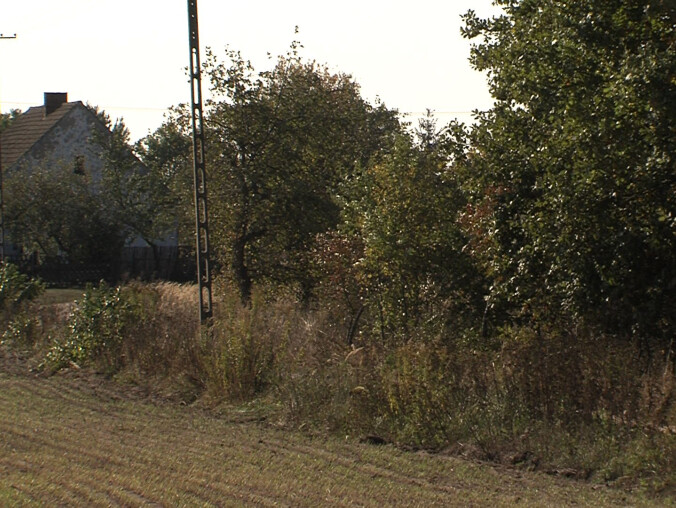 Nie dla hodowli norek - grafika