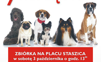 "Przygarnij Burka" już jutro!
