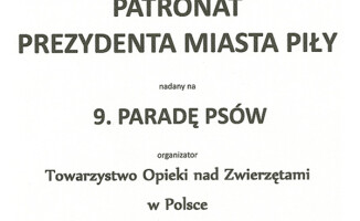 "Przygarnij Burka" już jutro!