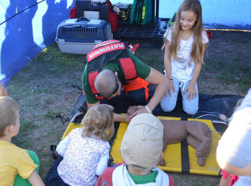 5 psów znalazło nowy dom - grafika