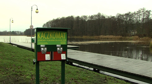 Kaczkomat już stoi - grafika