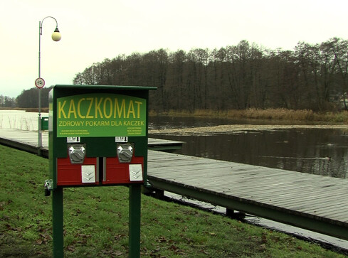 Kaczkomat już stoi - grafika