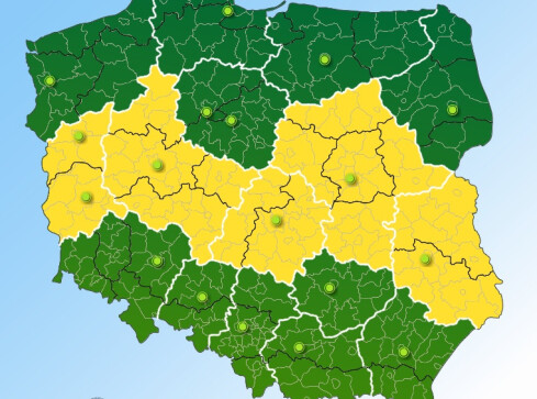 Uwaga, znów będzie mgliście - grafika