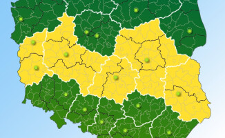 Uwaga, znów będzie mgliście