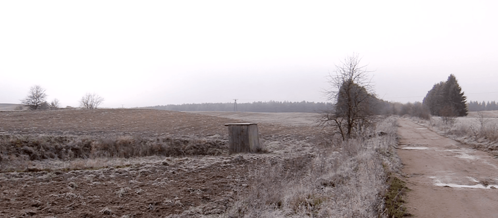 Z zimną krwią zastrzelił psa