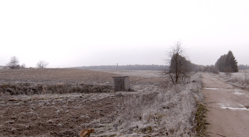 Z zimną krwią zastrzelił psa - grafika