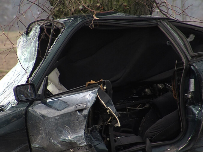 Pilanin na mistrzostwach świata - grafika