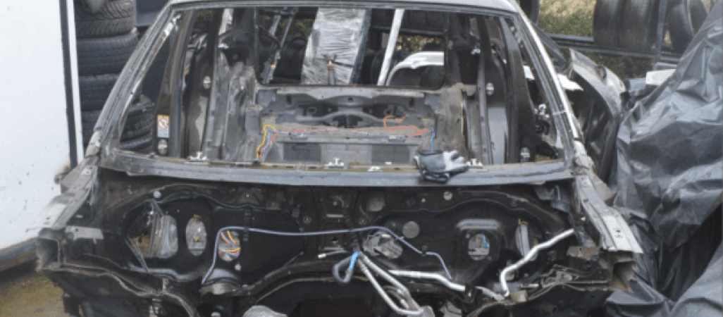 Zaglądają do "dziupli", a tam...