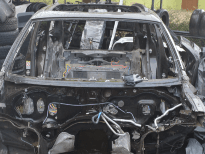 Zaglądają do "dziupli", a tam... - grafika