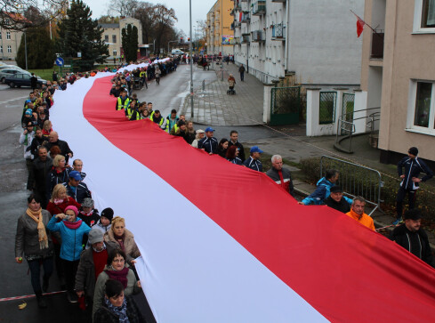 2016 rokiem bicia rekordów - grafika