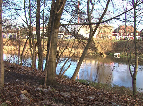 VIVO odbuduje przystań - grafika