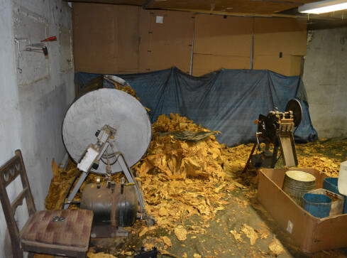 Nielegalny tytoń za ponad pół miliona złotych - grafika