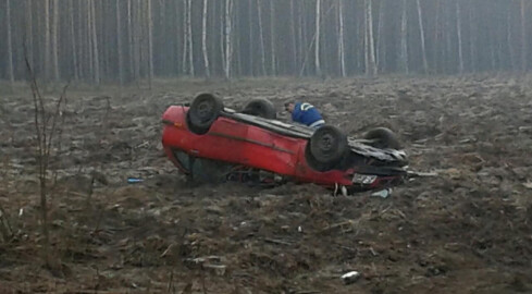 Dachowanie pod Piłą - grafika