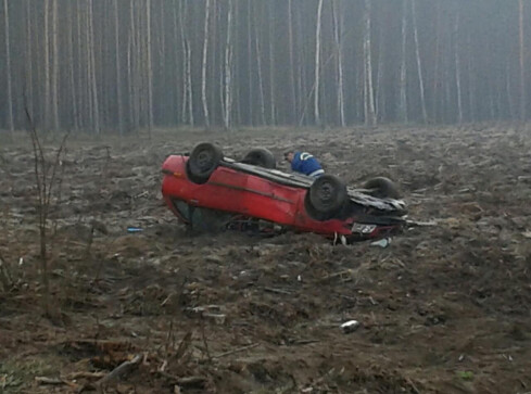 Dachowanie pod Piłą - grafika