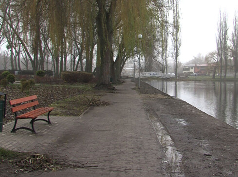 Wyrzyski bubel remontowy - grafika