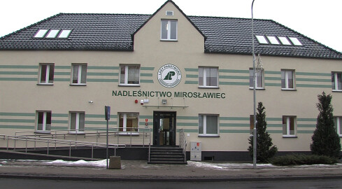 Nadleśnictwo po remoncie - grafika