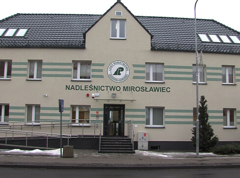Nadleśnictwo po remoncie - grafika