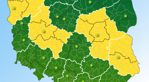 Uwaga! Ślisko! - grafika