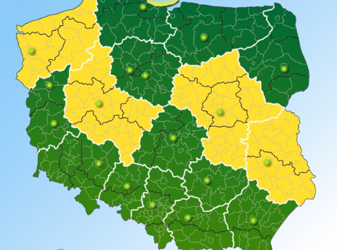 Uwaga, będzie wiało - grafika